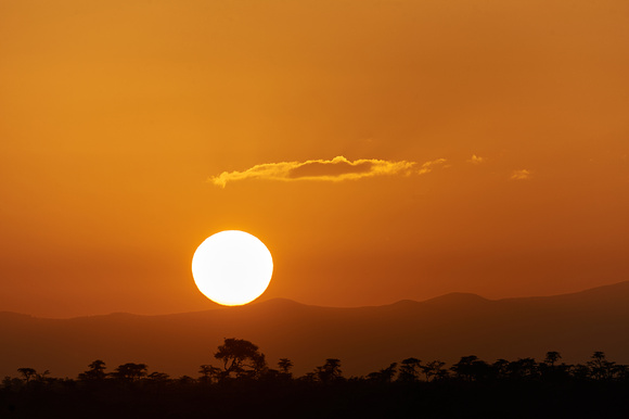 Break of Day Over El Karama